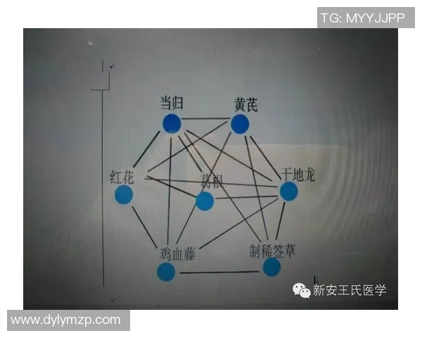 广州街舞队比赛经验分析与表现评估的深度研究 广州街舞队比赛经验分析与表现评估的深度研究