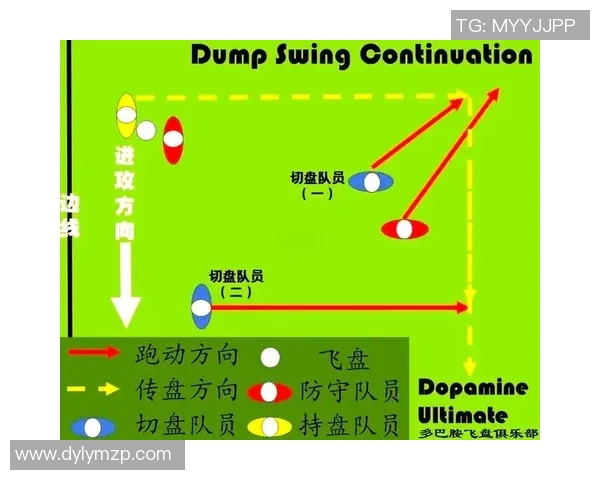 南京飞盘队包夹战术分析与表现评估探讨