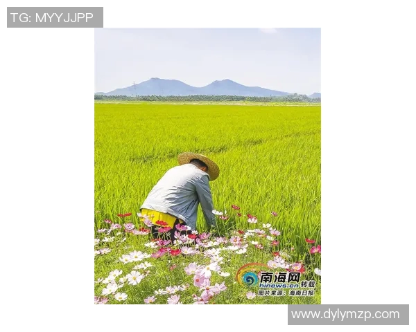 大米种植技术创新与可持续发展路径研究及其对农业生态环境的影响分析 大米种植技术创新与可持续发展路径研究及其对农业生态环境的影响分析