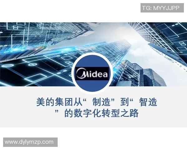南京排球队转型之路：从传统强队到现代竞技新标杆的深度解析
