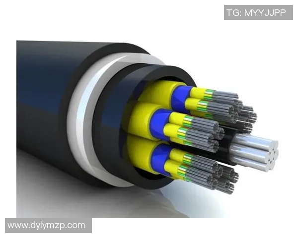 LNG在Major赛中的意识表现分析与战术解读